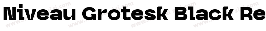 Niveau Grotesk Black Regular字体转换